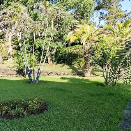 Sunny Bayhill With Swimming Pool * Funchal (Madeira)