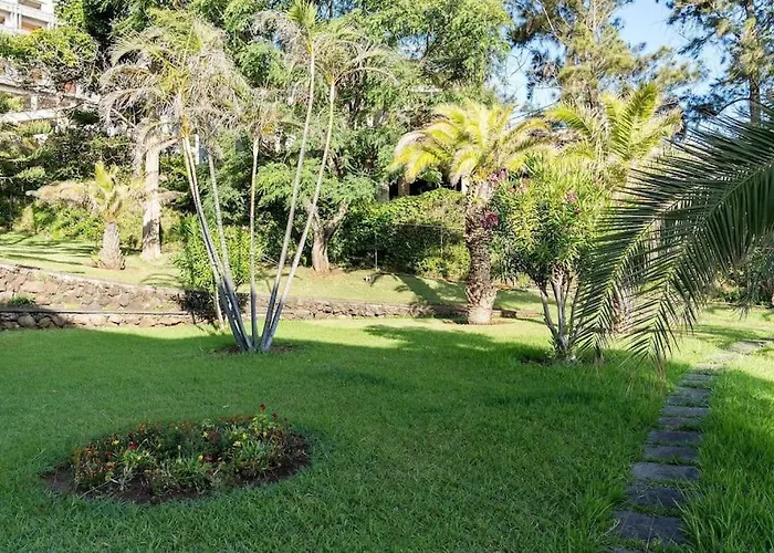 Sunny Bayhill With Swimming Pool * Funchal (Madeira)